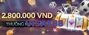 VISA188