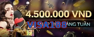 VISA188